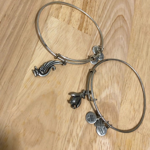 Set of 2 Alex and Ani Bracelets - Picture 2 of 3